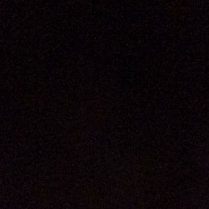 Meet your Posher, Sienna